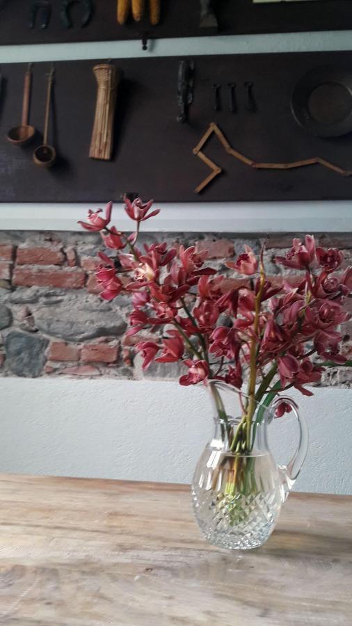 Langhe Di Liguria B&B Piana Crixia Ngoại thất bức ảnh